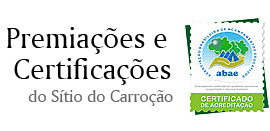 Treinamentos e Workshops