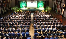 Treinamentos e Workshops